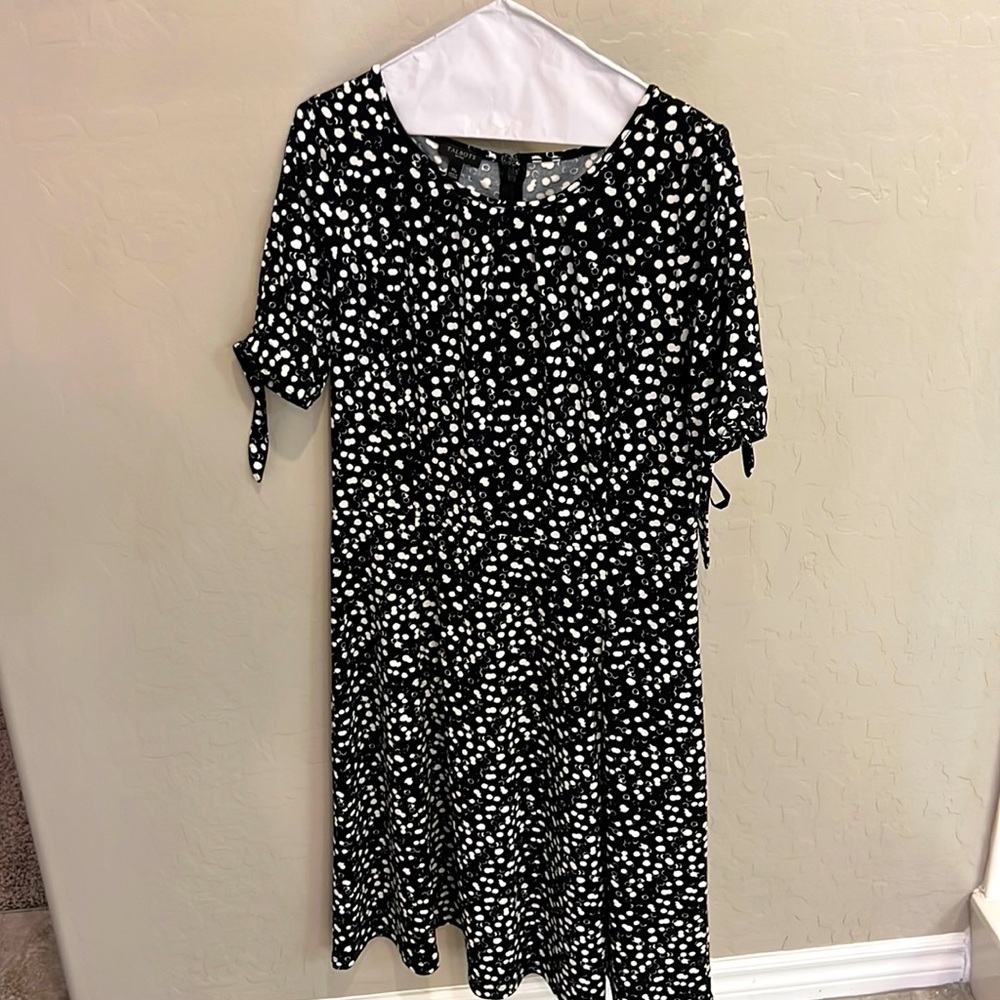 Talbots MP NWOT Black polka dot
